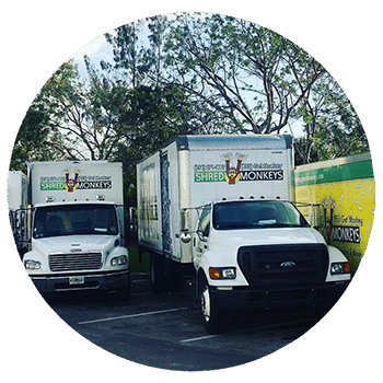 Image of the Shred Monkeys trucks